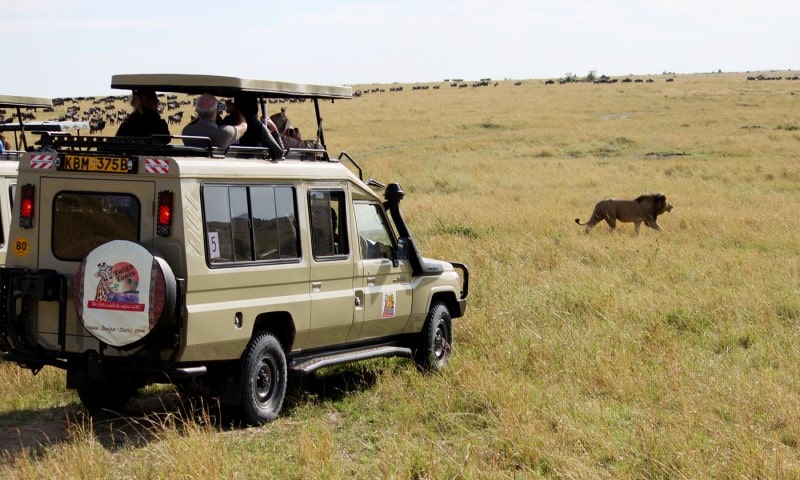 Quenia e Tanzania 3 23-BFE