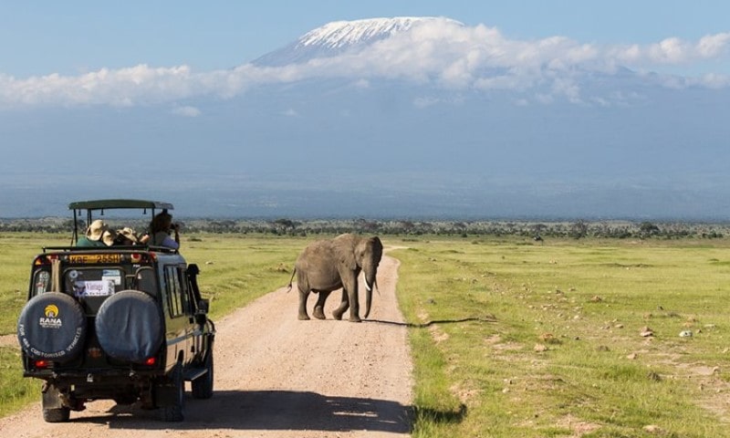 Quenia e Tanzania 5 23-BFE