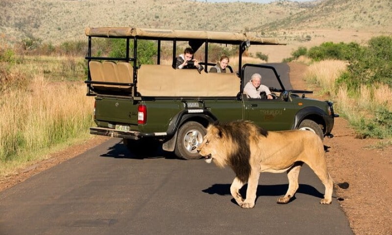 Pilanesberg-National-Park