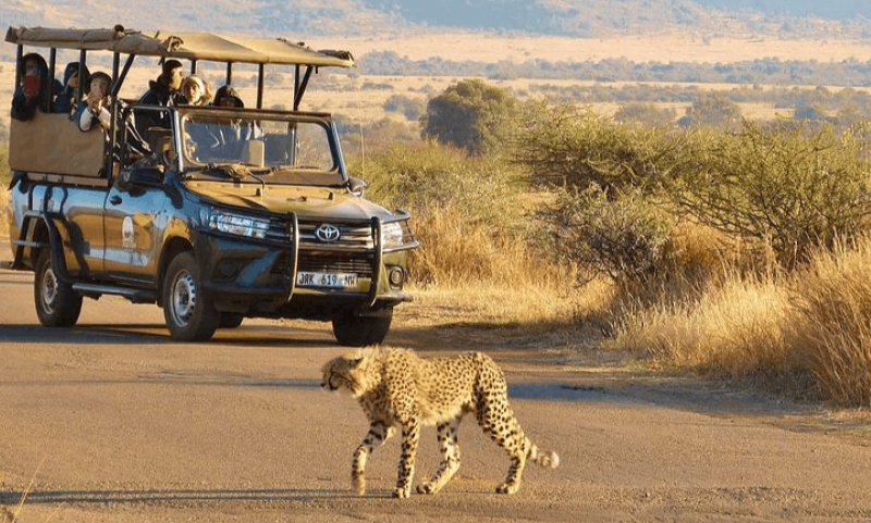 Pilanesberg-National-Park3